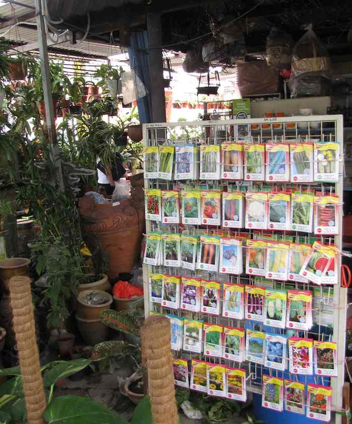 photo of seed packages and more, inside the nursery