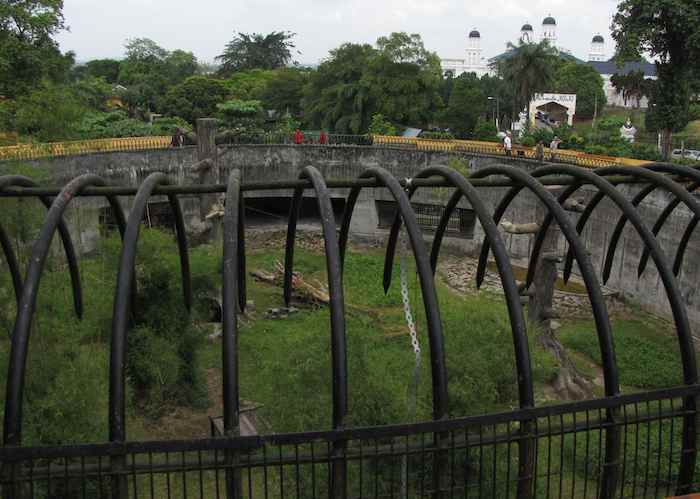 photo of the chimpanzee Enclosure at the JB Zoo