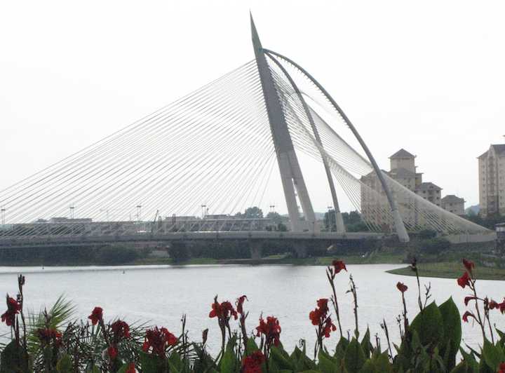 photo of suspension bridge in Putrajaya with flowers in the foreground