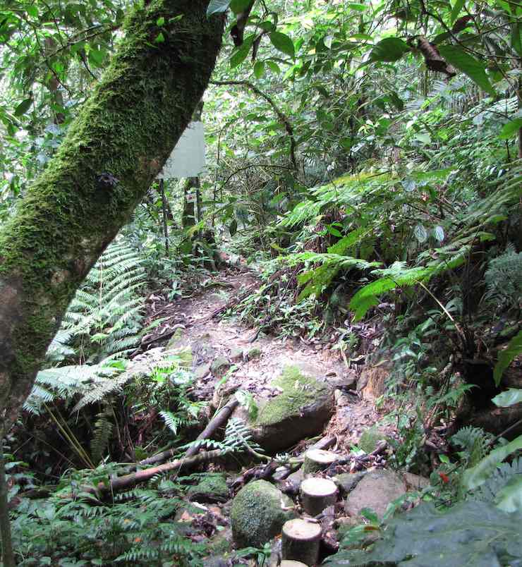 photo of Bishop Trail in Fraser's Hill