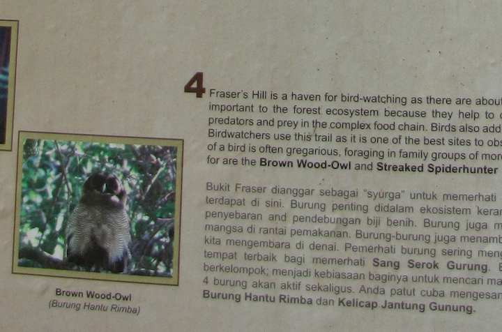 Close up photo of sign on the trail talking about birds