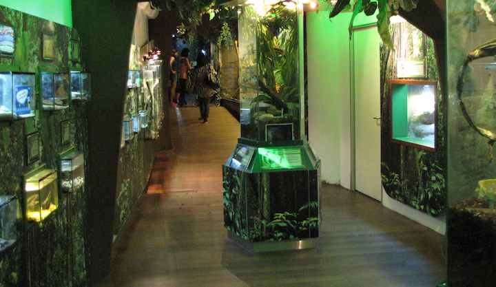photo of hallway in the KL Aquarium
