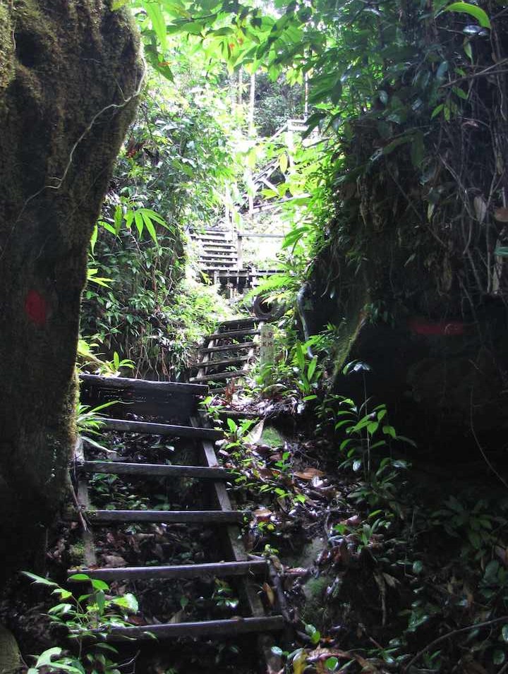 photo of Steep trail steps on the Lintang trail
