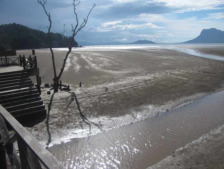 view from boat dropoff for Bako National Park