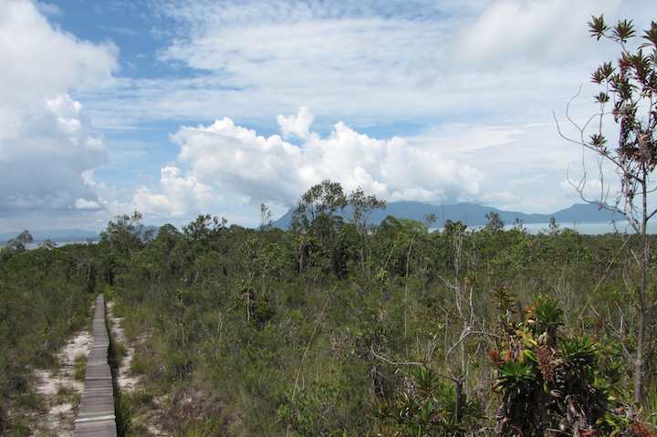 photo of view from plateau on Bako National Park Pandan Kencil path