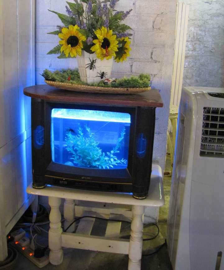 photo of old Fish Bowl TV