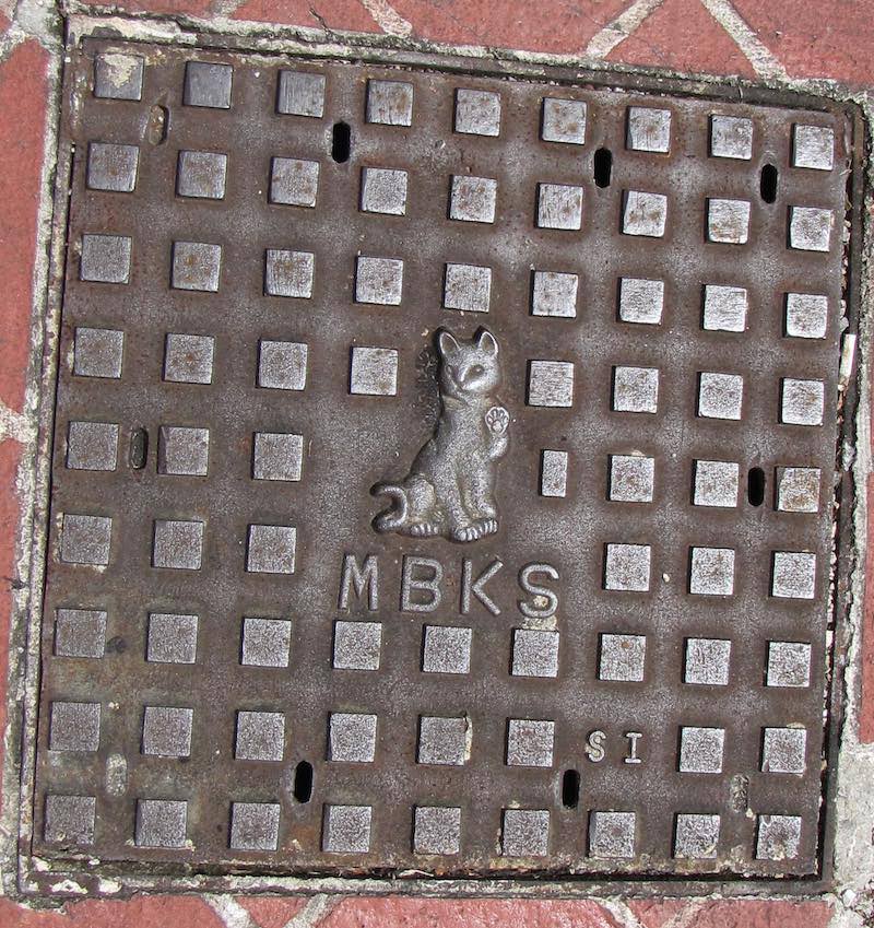 Manhole cover with a cat in the center